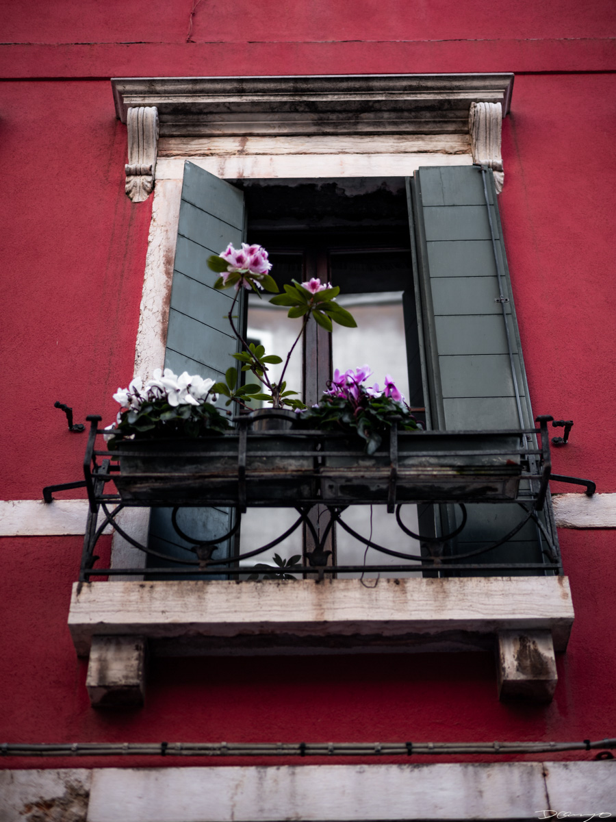 Photos from Rome, Venice, Florence, Tuscany, Manarola, Vernazza, Riomaggiore, Verona, Trento, and the Italian Alps in Spring of 2022.